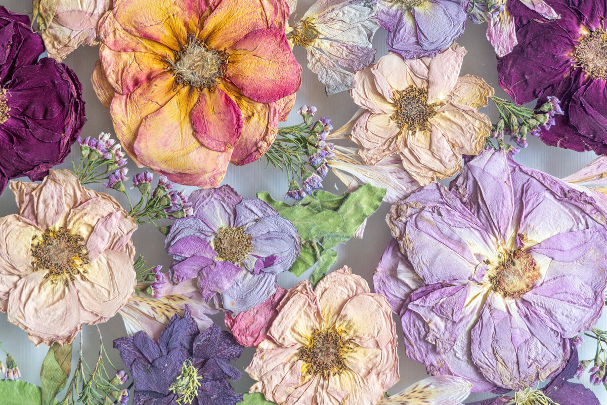 How to Dry Flowers and Preserve Their Color