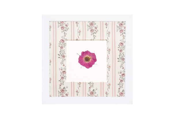 Birth Flower Frame Border