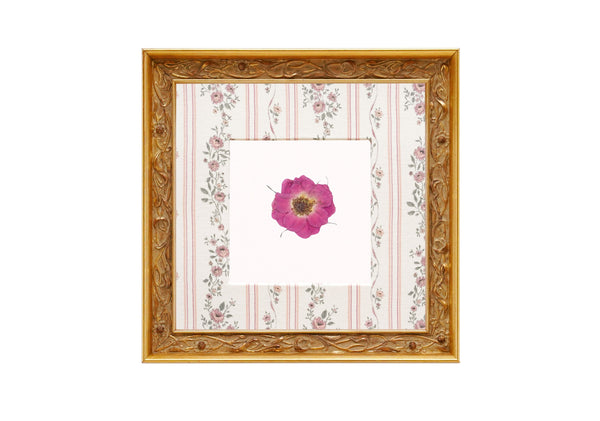 Birth Flower Frame Border
