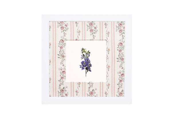 Birth Flower Frame Border