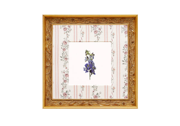 Birth Flower Frame Border
