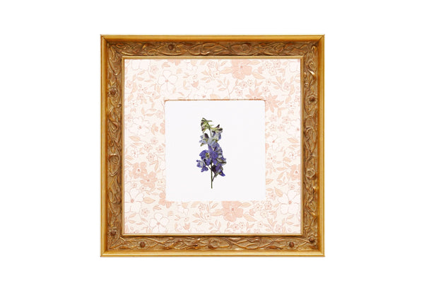 Birth Flower Frame Border
