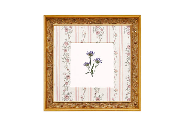 Birth Flower Frame Border