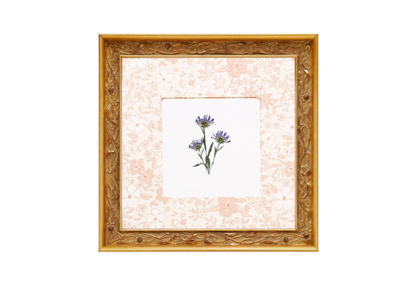 Birth Flower Frame Border