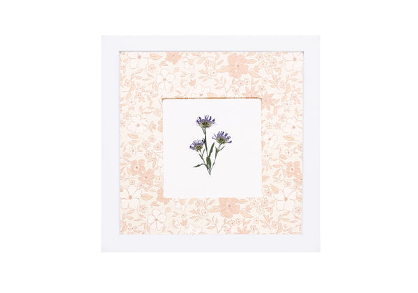 Birth Flower Frame Border