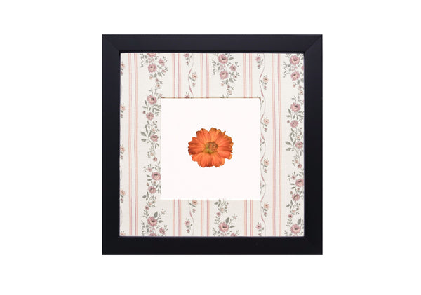 Birth Flower Frame Border