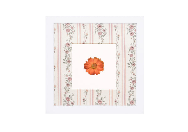 Birth Flower Frame Border