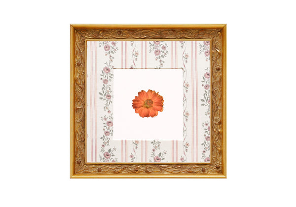 Birth Flower Frame Border