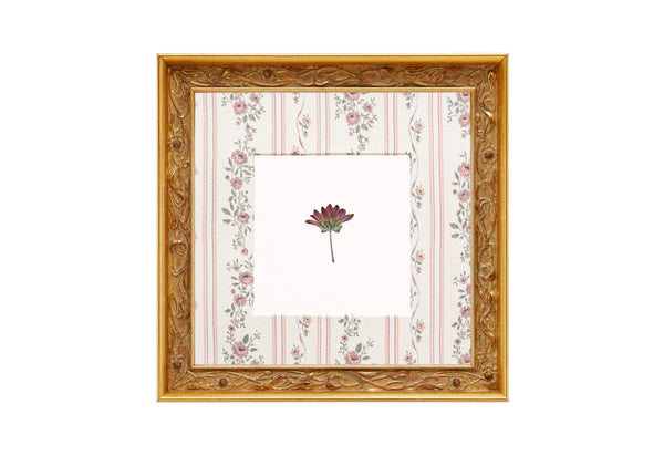 Birth Flower Frame Border