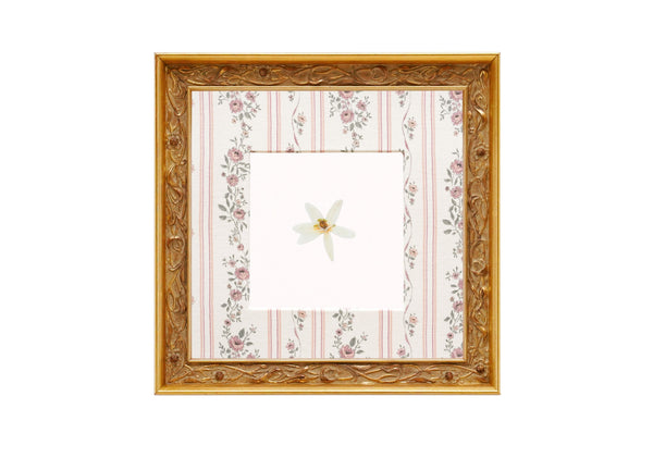Birth Flower Frame Border