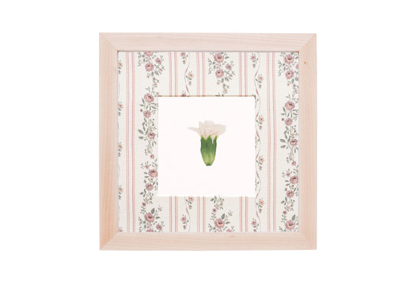 Birth Flower Frame Border