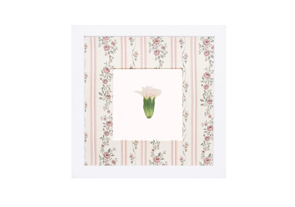 Birth Flower Frame Border