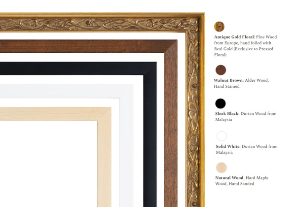 Custom Paw Print Frame