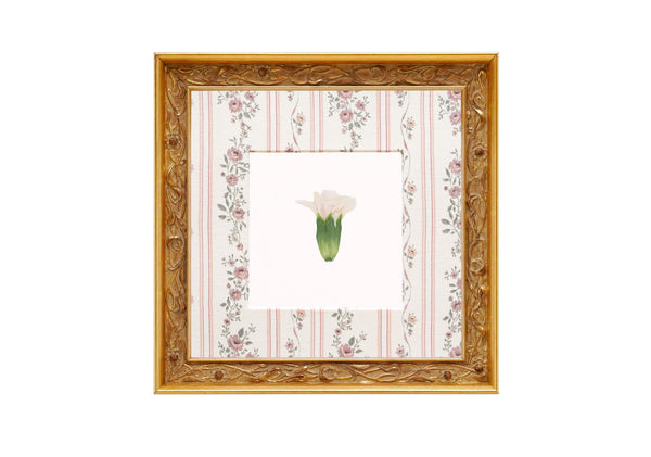 Birth Flower Frame Border