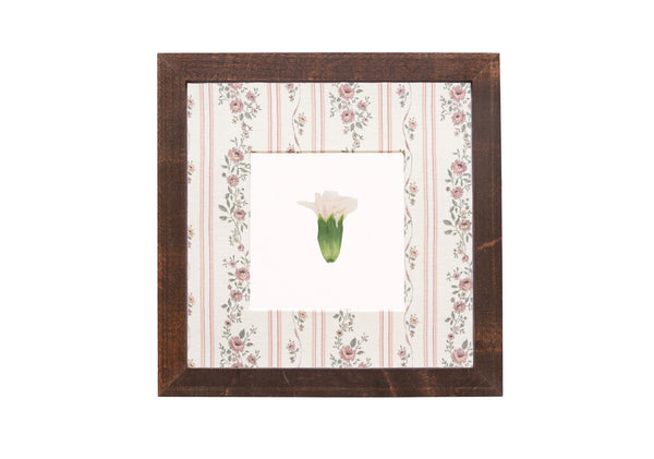 Birth Flower Frame Border