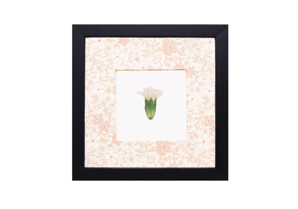 Birth Flower Frame Border
