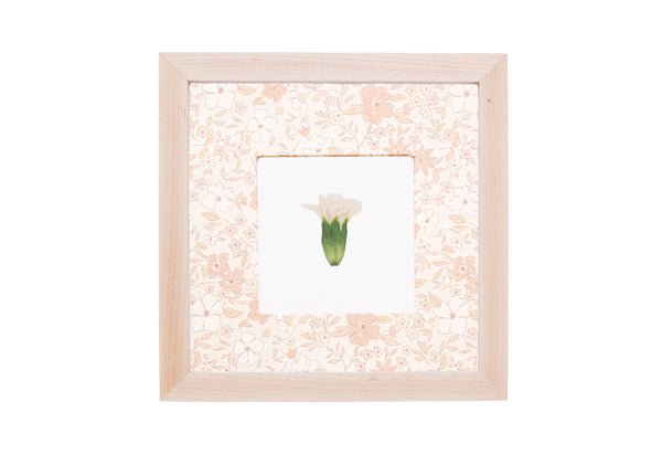 Birth Flower Frame Border
