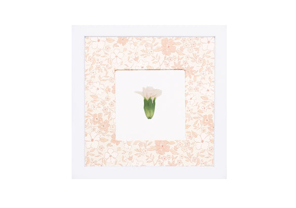 Birth Flower Frame Border