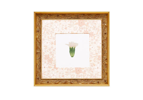 Birth Flower Frame Border
