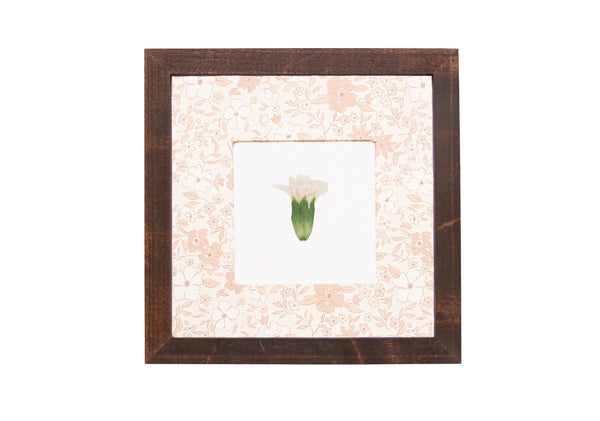Birth Flower Frame Border