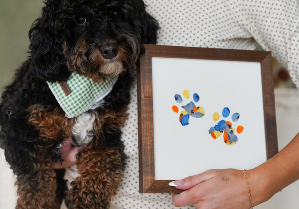 Custom Paw Print Frame