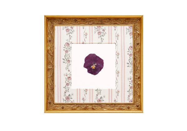 Birth Flower Frame Border