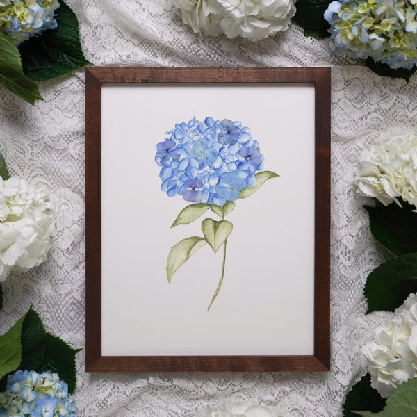 The Blue Hydrangea Frame