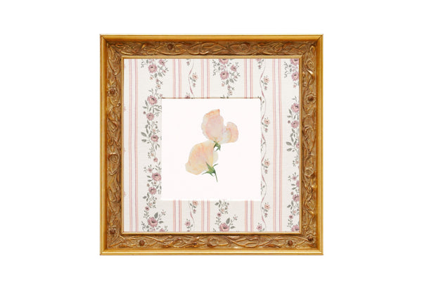 Birth Flower Frame Border
