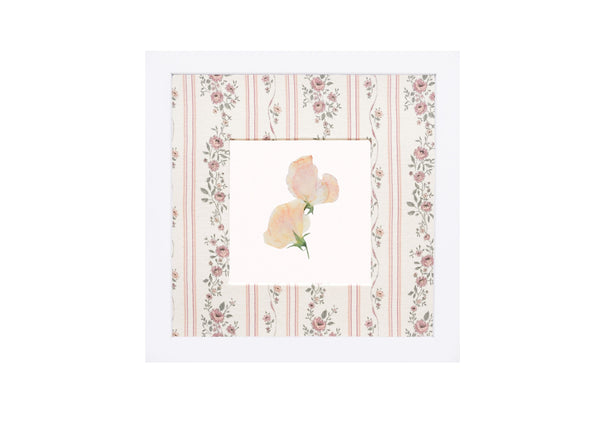 Birth Flower Frame Border