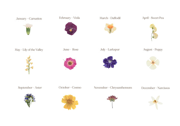 Birth Flower Frame