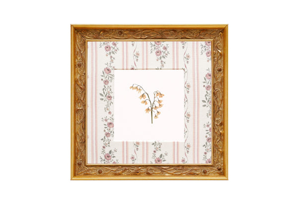 Birth Flower Frame Border