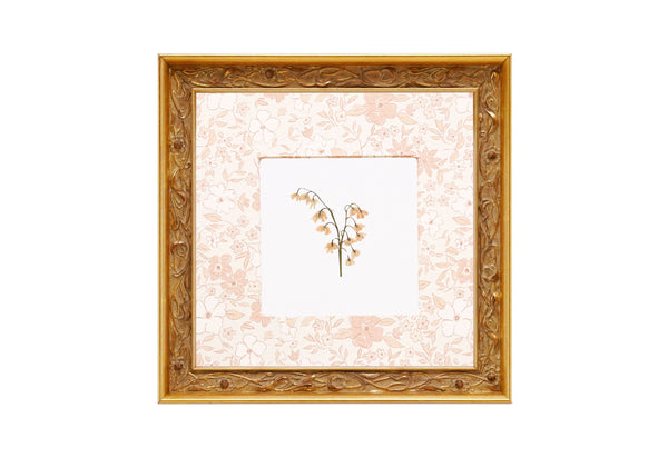Birth Flower Frame Border