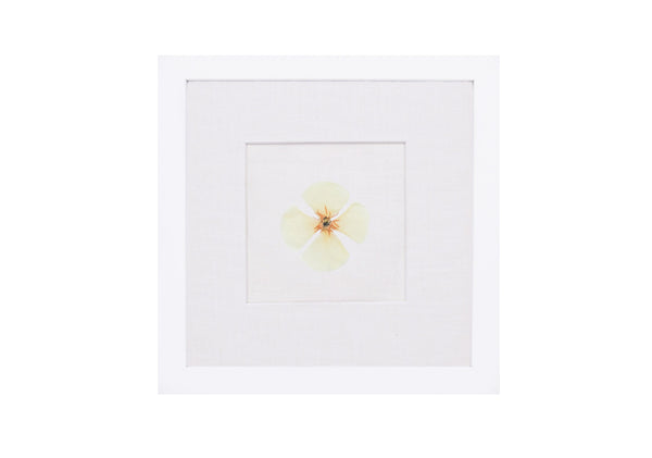 Birth Flower Frame