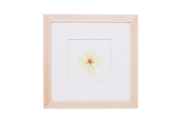 Birth Flower Frame