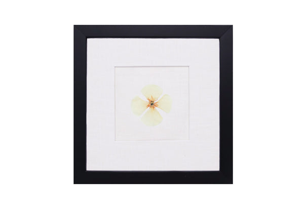 Birth Flower Frame