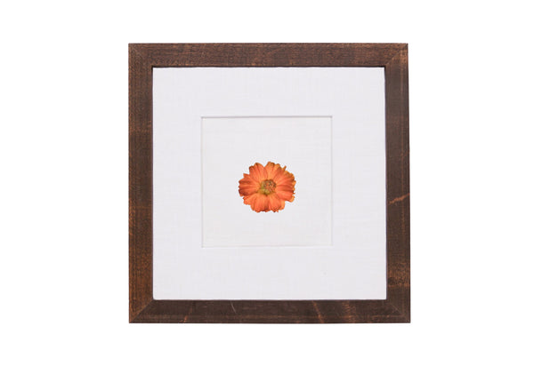 Birth Flower Frame