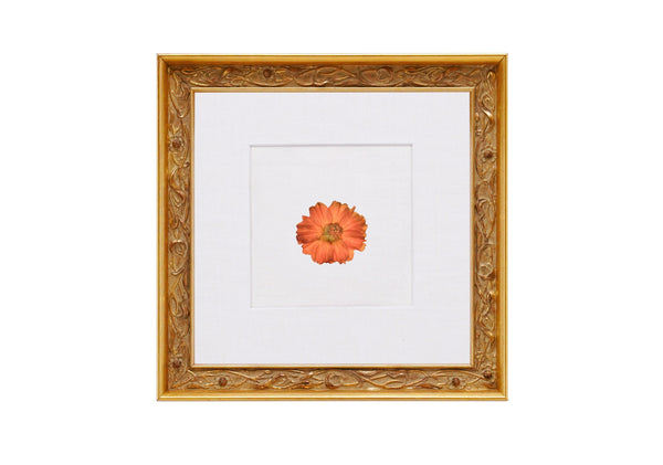 Birth Flower Frame
