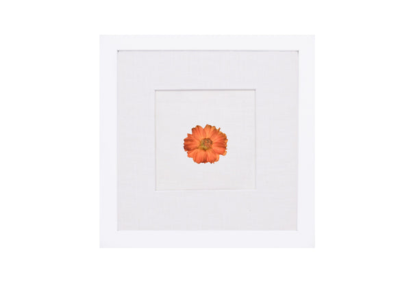Birth Flower Frame