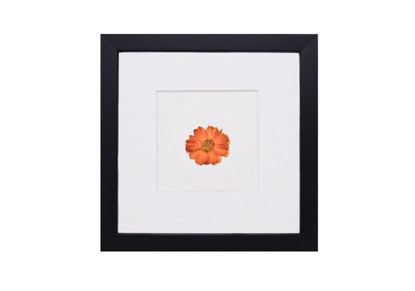 Birth Flower Frame