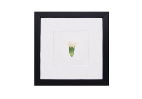 Birth Flower Frame