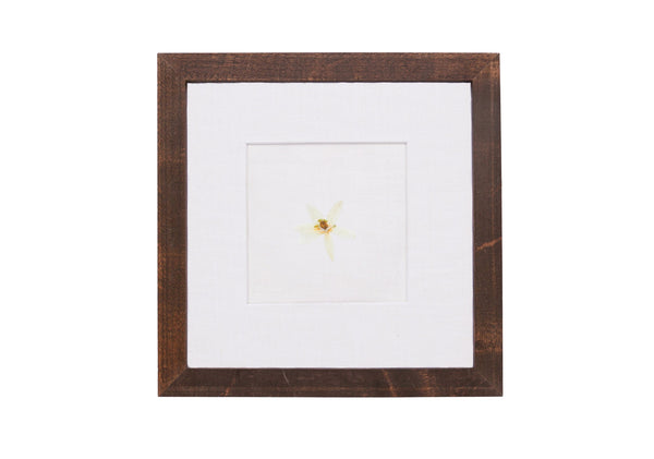 Birth Flower Frame