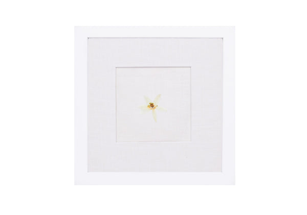 Birth Flower Frame