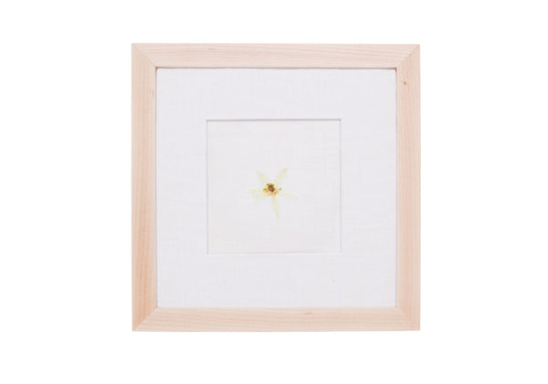 Birth Flower Frame