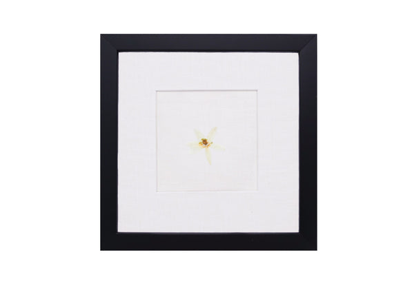 Birth Flower Frame