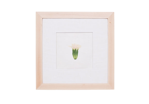 Birth Flower Frame