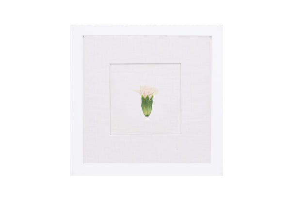 Birth Flower Frame