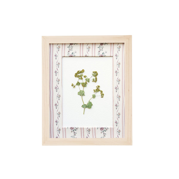 8x10 Floral Stripe Fabric Frame II