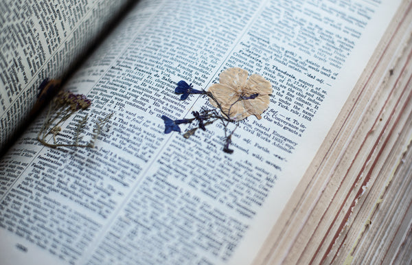 A-PRESSED-FLOWER-IN-THE-PAGES-OF-AN-OLD-DICTIONARY