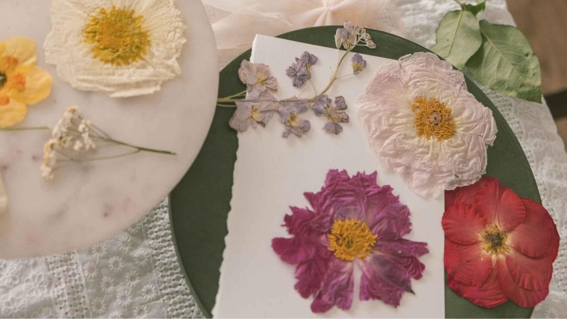 Will My Flowers Change Color? Here’s the Truth.