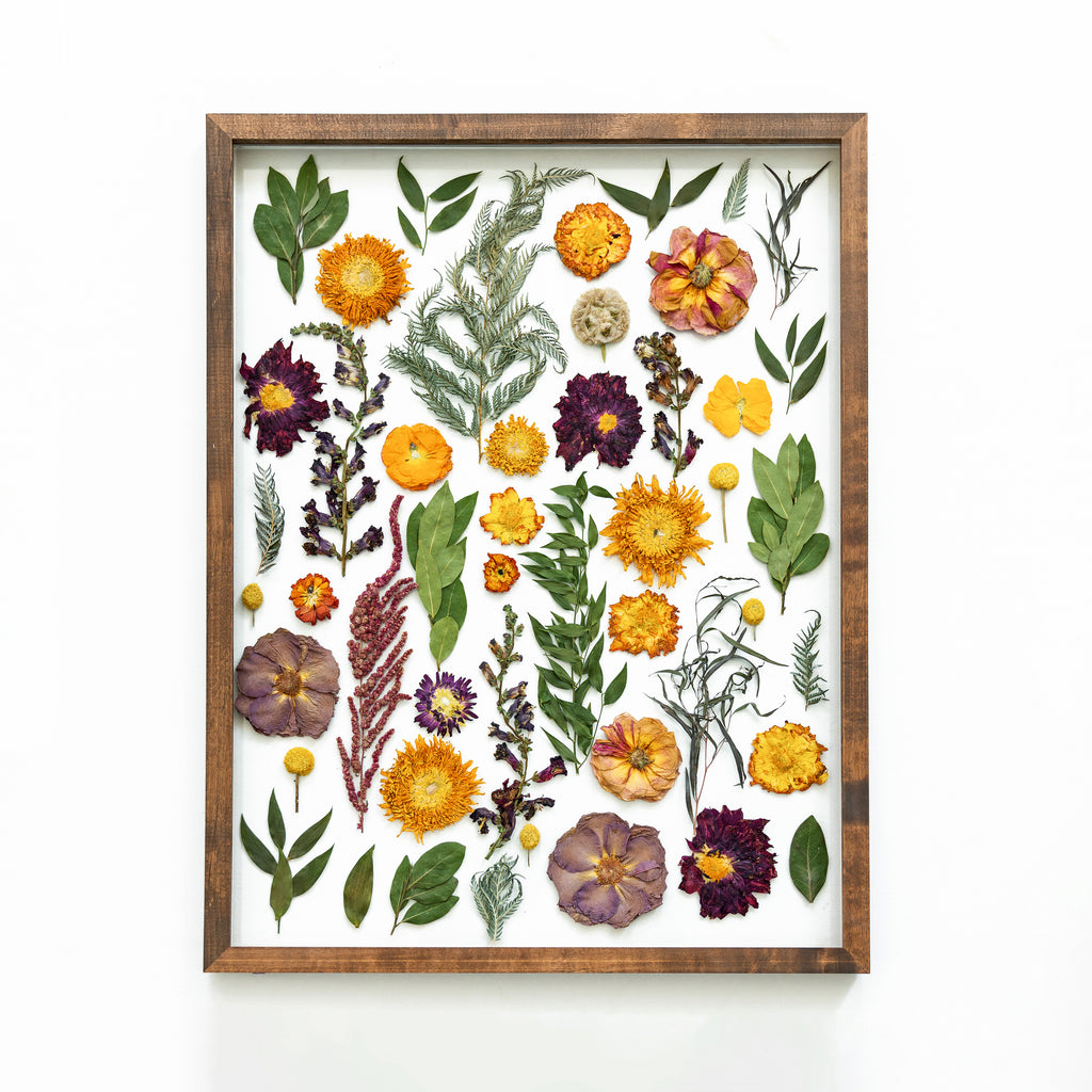 Natures Treasures Preserved: A Collection of Pressed Blooms - Pressed Dried  flowers on white background Poster for Sale by EmeraldeaArt